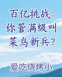 百亿挑战：你管满级叫菜鸟新兵？