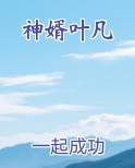 神婿叶凡在线阅读无弹窗