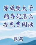 穿成废太子的弃妃怎么办免费阅读