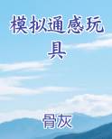 模拟通感玩具完整版小说