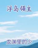 浮岛领主
