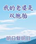 我的老婆是双胞胎