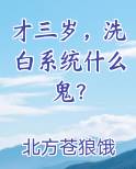 才三岁，洗白系统什么鬼？在线阅读无弹窗