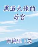 黑道大佬的后宫推荐小说