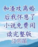 和渣攻离婚后我怀崽了小说免费阅读完整版