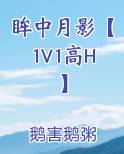 眸中月影【1V1高H】