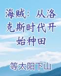 海贼：从洛克斯时代开始种田免费小说