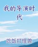 我的导演时代