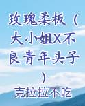 玫瑰柔板（大小姐X不良青年头子）