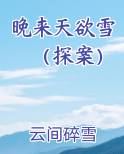 晚来天欲雪（探案）