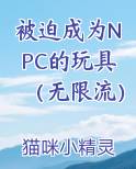 被迫成为NPC的玩具（无限流）