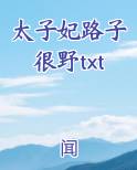 太子妃路子很野txt