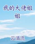 我的大佬姐姐小说