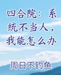 四合院：系统不当人，我能怎么办