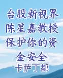 台股新视界陈星嘉教授保护你的资金安全