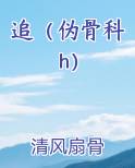 追（伪骨科h）