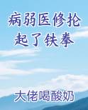 病弱医修抡起了铁拳起点