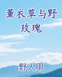 薰衣草与野玫瑰