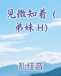 见微知著在线阅读